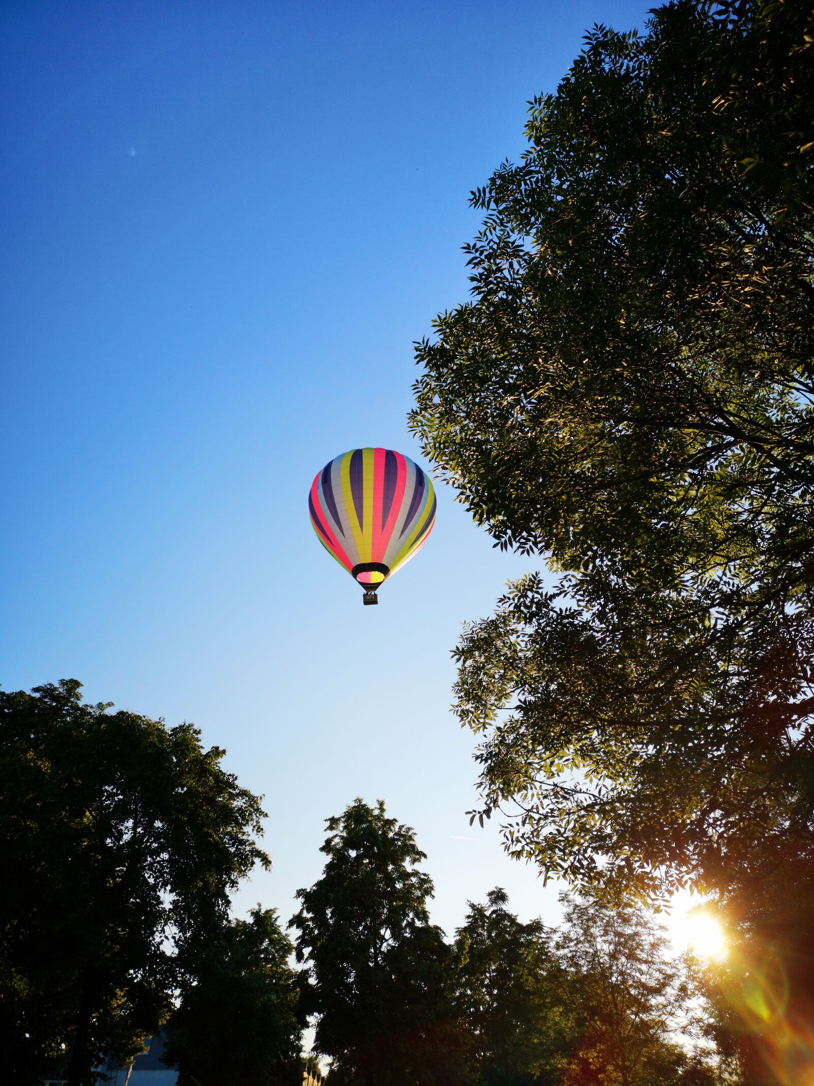 HUAWEI CLT-L09 sample photo. Hot air balloon, sky photography