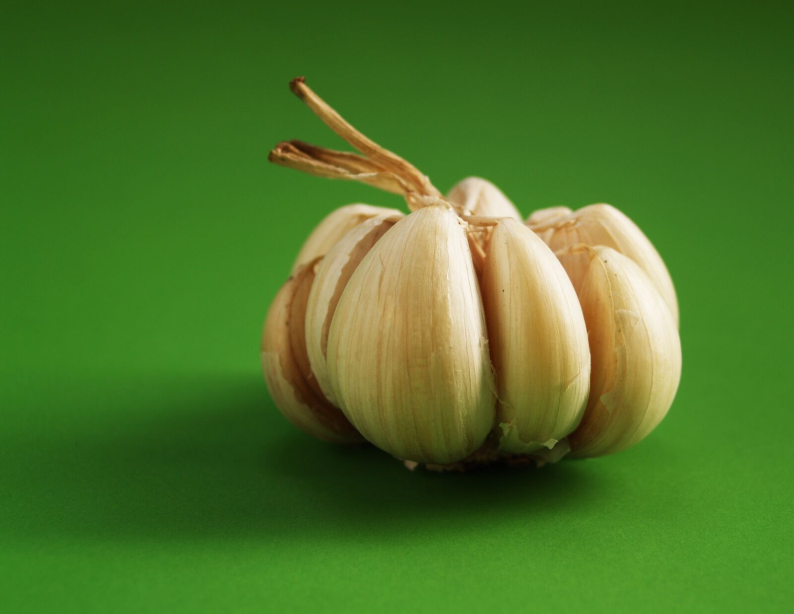 Olympus E-300 (EVOLT E-300) sample photo. Garlic, meals, seasoning photography
