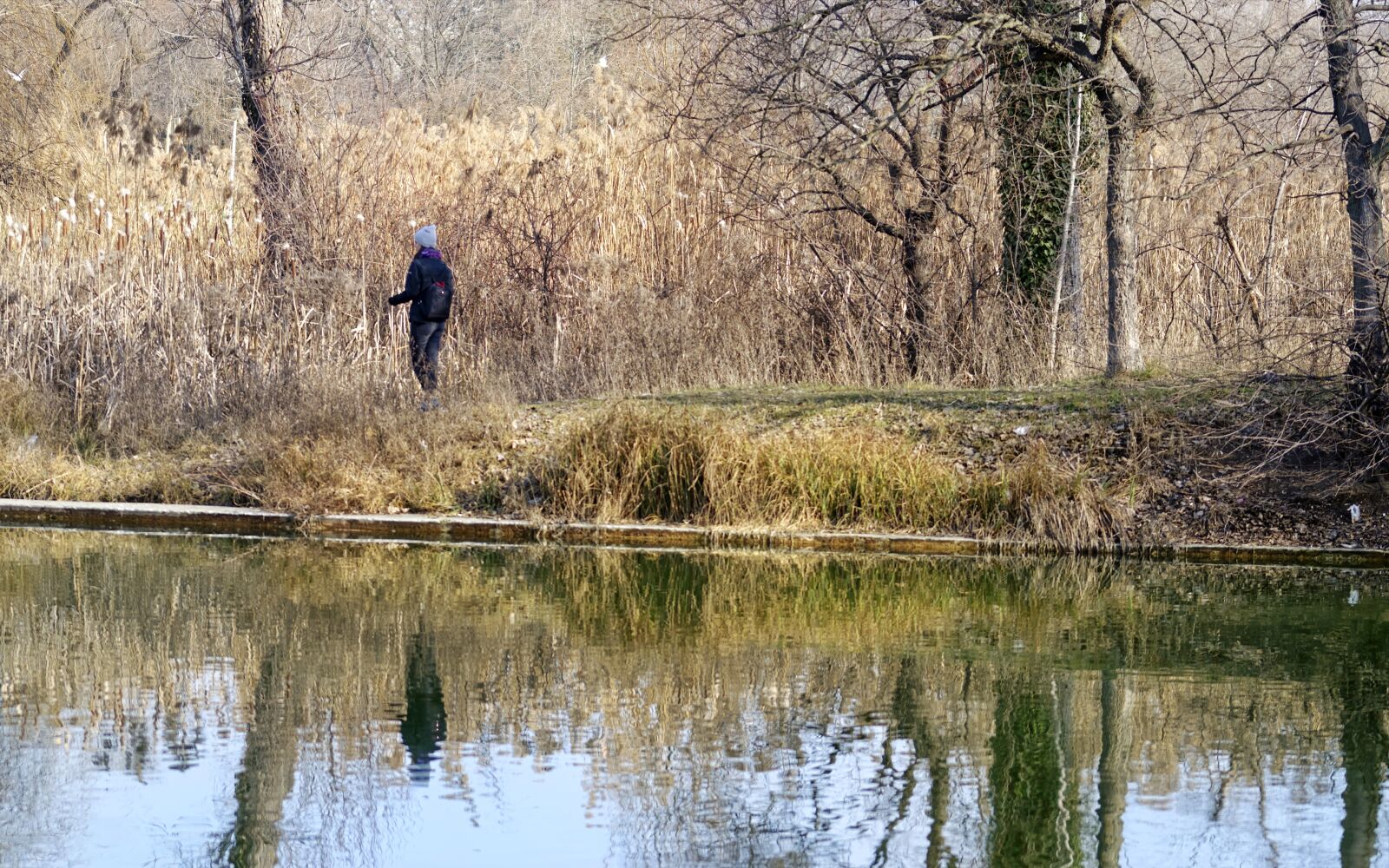 Nikon D5300 sample photo. Landscape, nature, lake photography