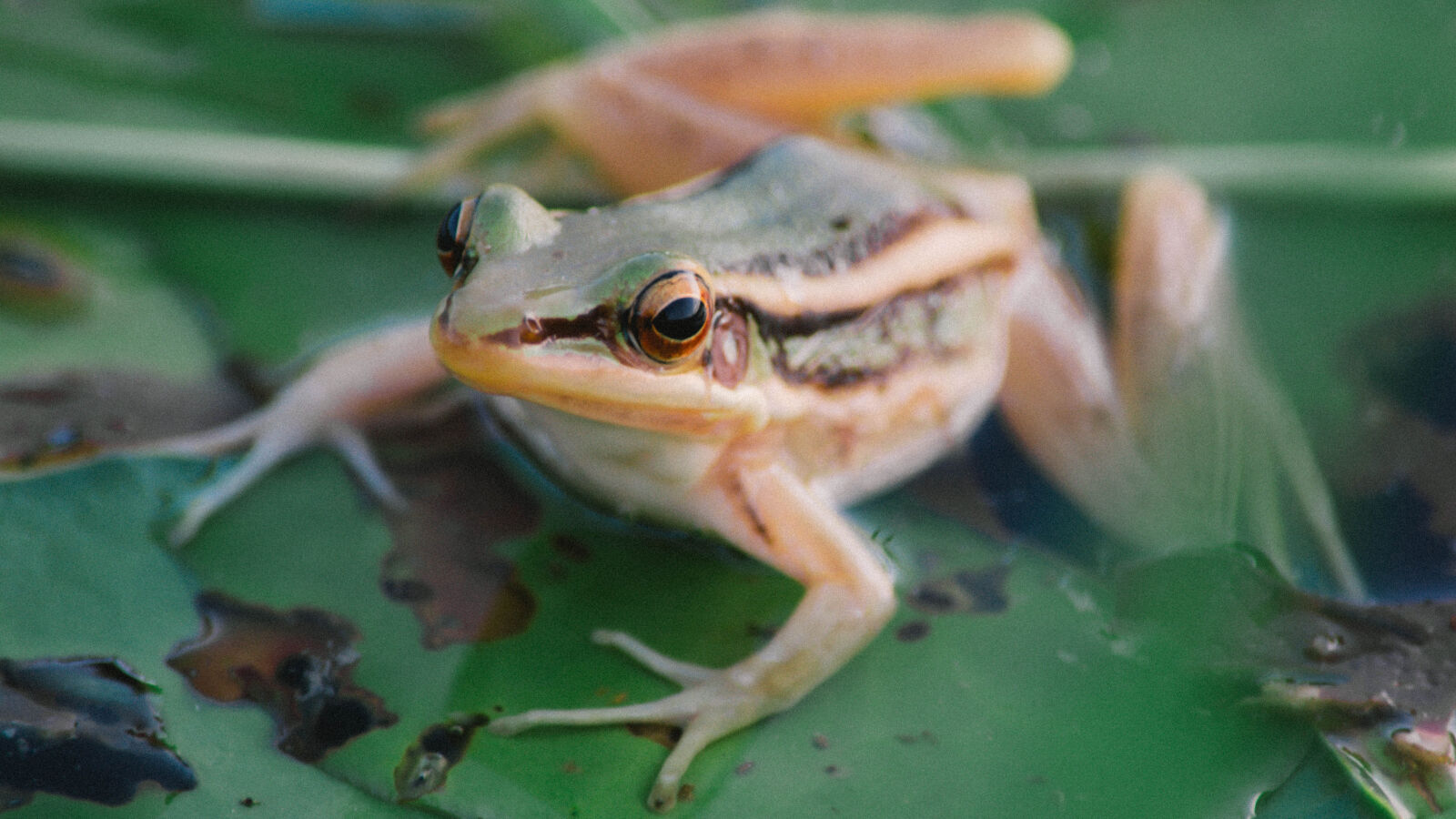 Nikon D5200 sample photo
