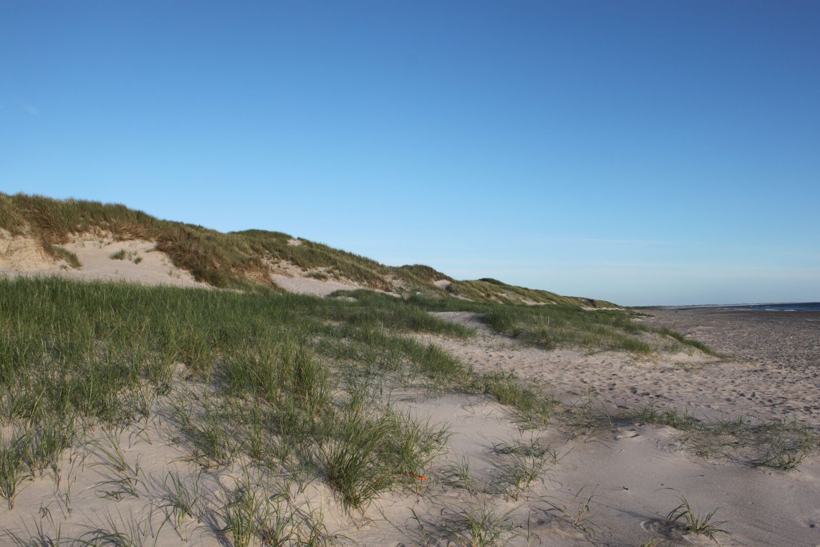 Canon EOS 500D (EOS Rebel T1i / EOS Kiss X3) sample photo. Dune, sand, natural photography