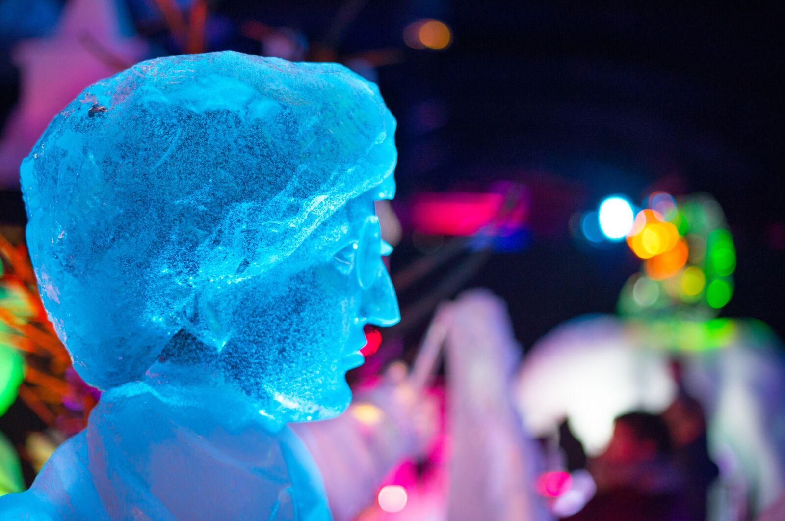 Nikon D610 sample photo. Ice, sculpture, pink photography