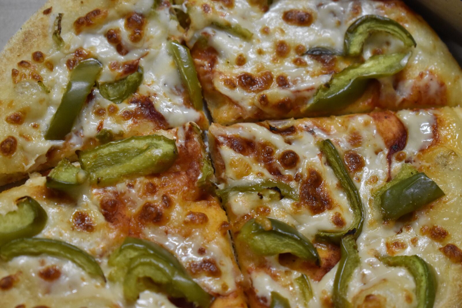 Nikon D5600 sample photo. Pizza, craving, vegetable pizza photography