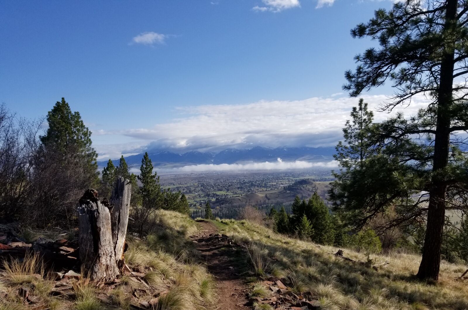 Samsung Galaxy S8+ sample photo. Missoula, montana, blue mountain photography