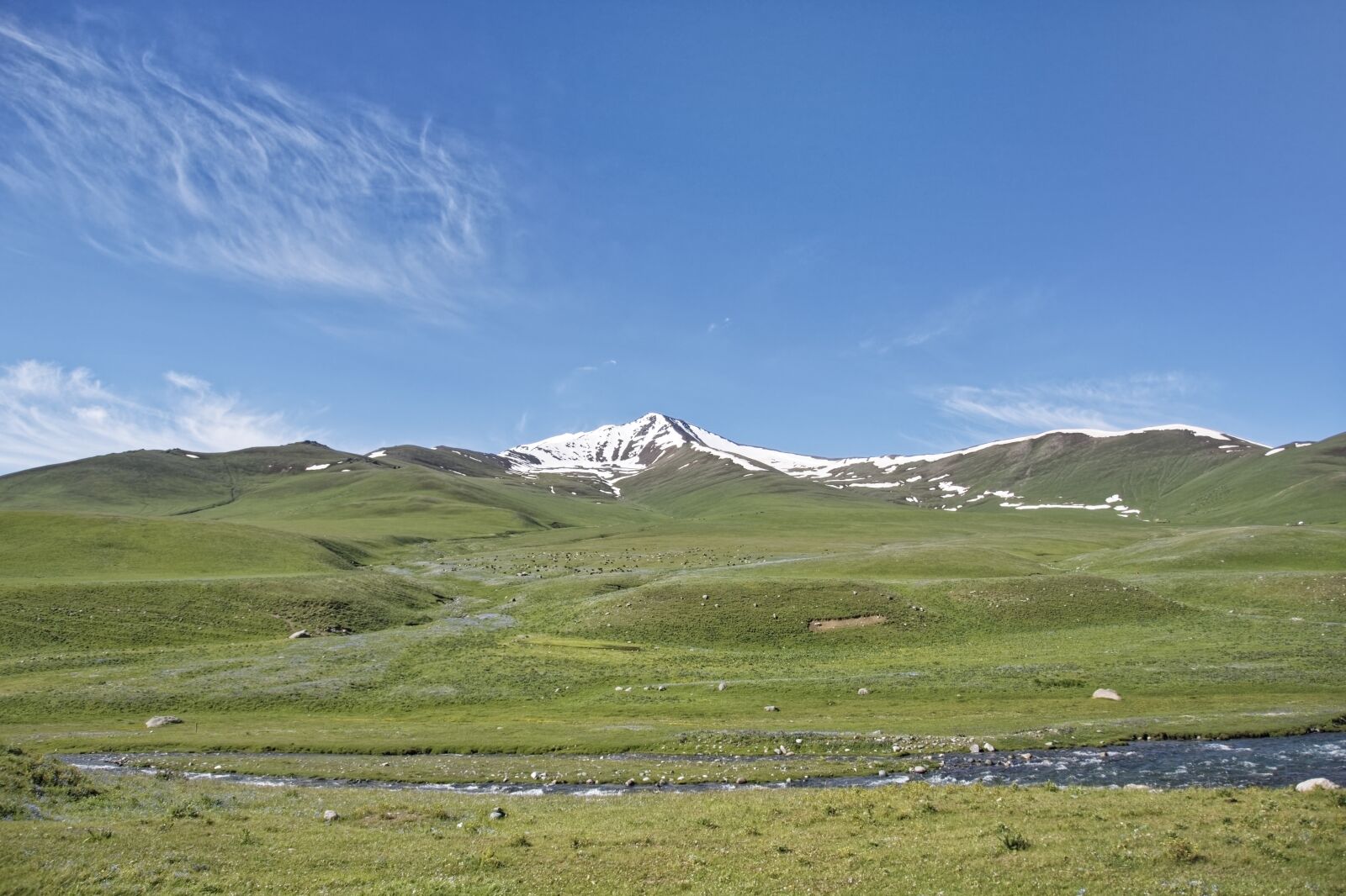 Nikon D500 sample photo. Kyrgyzstan, susamyr river, susamyr photography