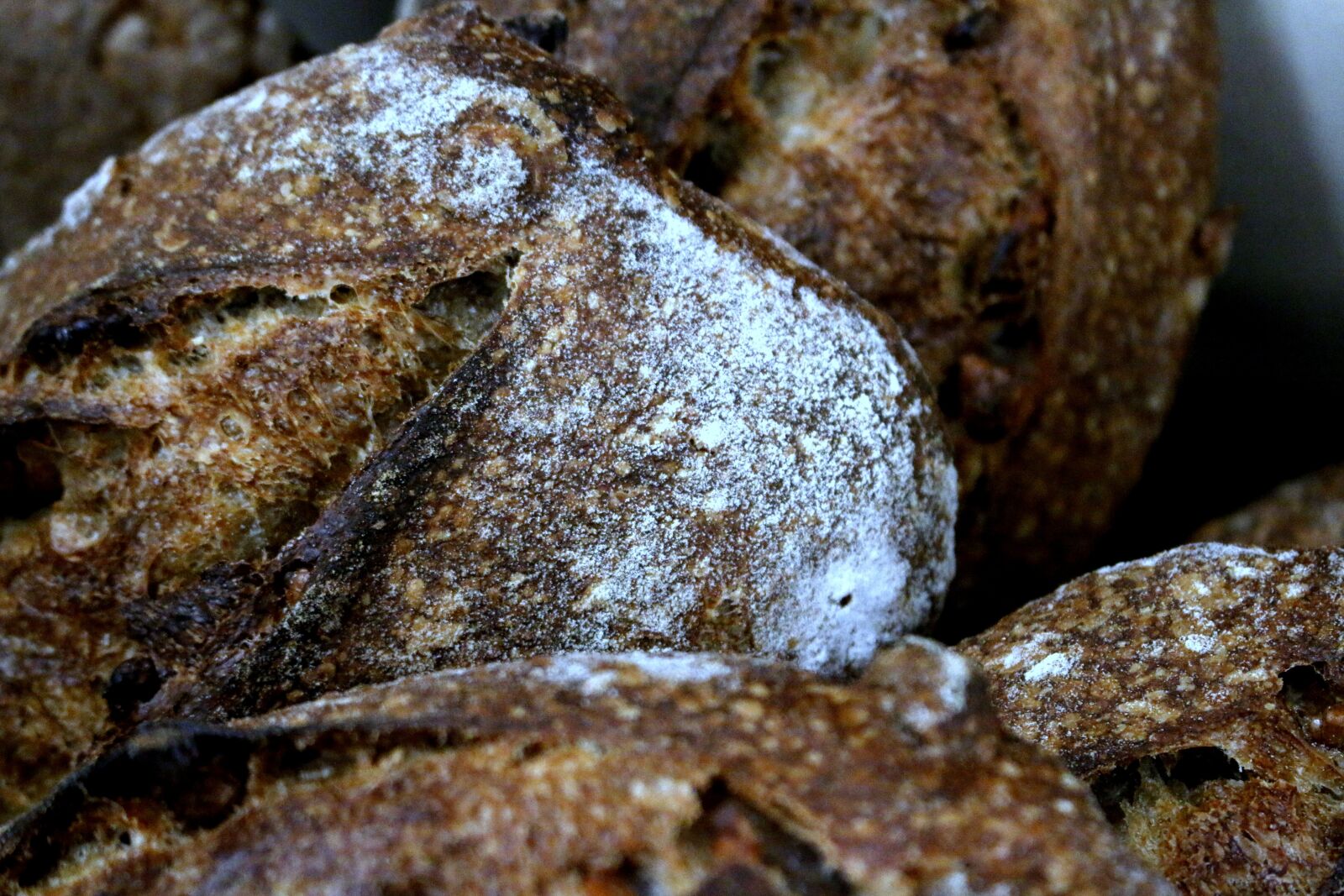 Canon EOS 70D sample photo. Baguette, bread, loaf photography