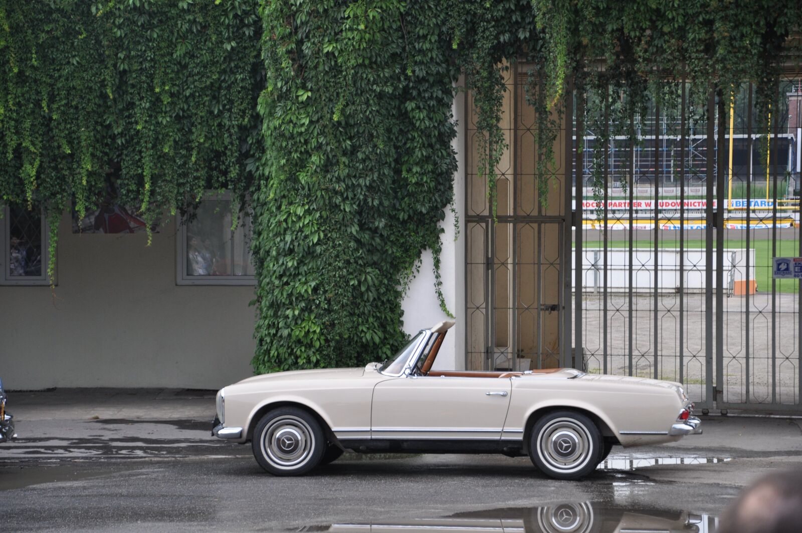 Nikon D5000 sample photo. W113, mercedes, pagoda photography