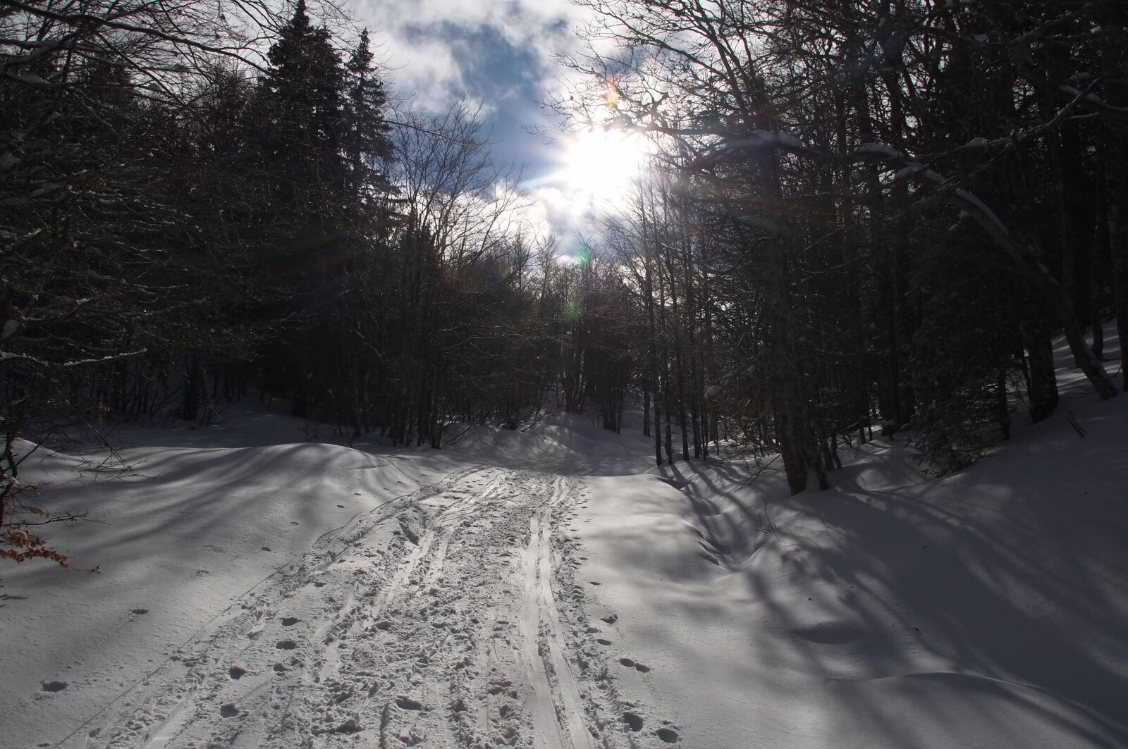 Nikon D90 sample photo. Color, winter, snow photography