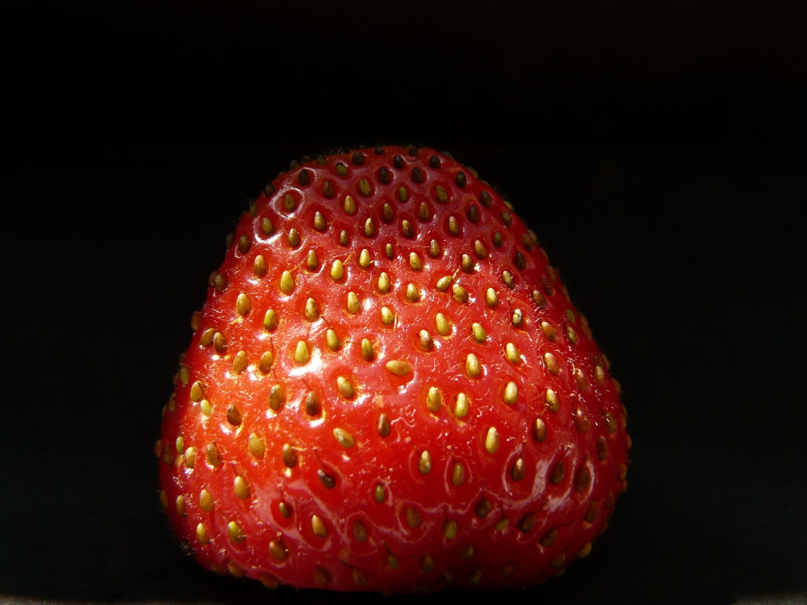Panasonic DMC-FZ18 sample photo. Strawberries, fruity, red photography