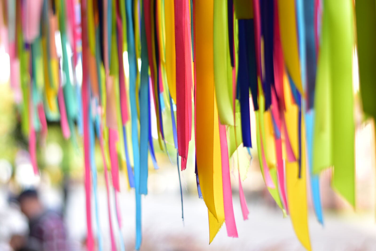 Nikon D3500 sample photo. Tags, colorful, rainbow photography