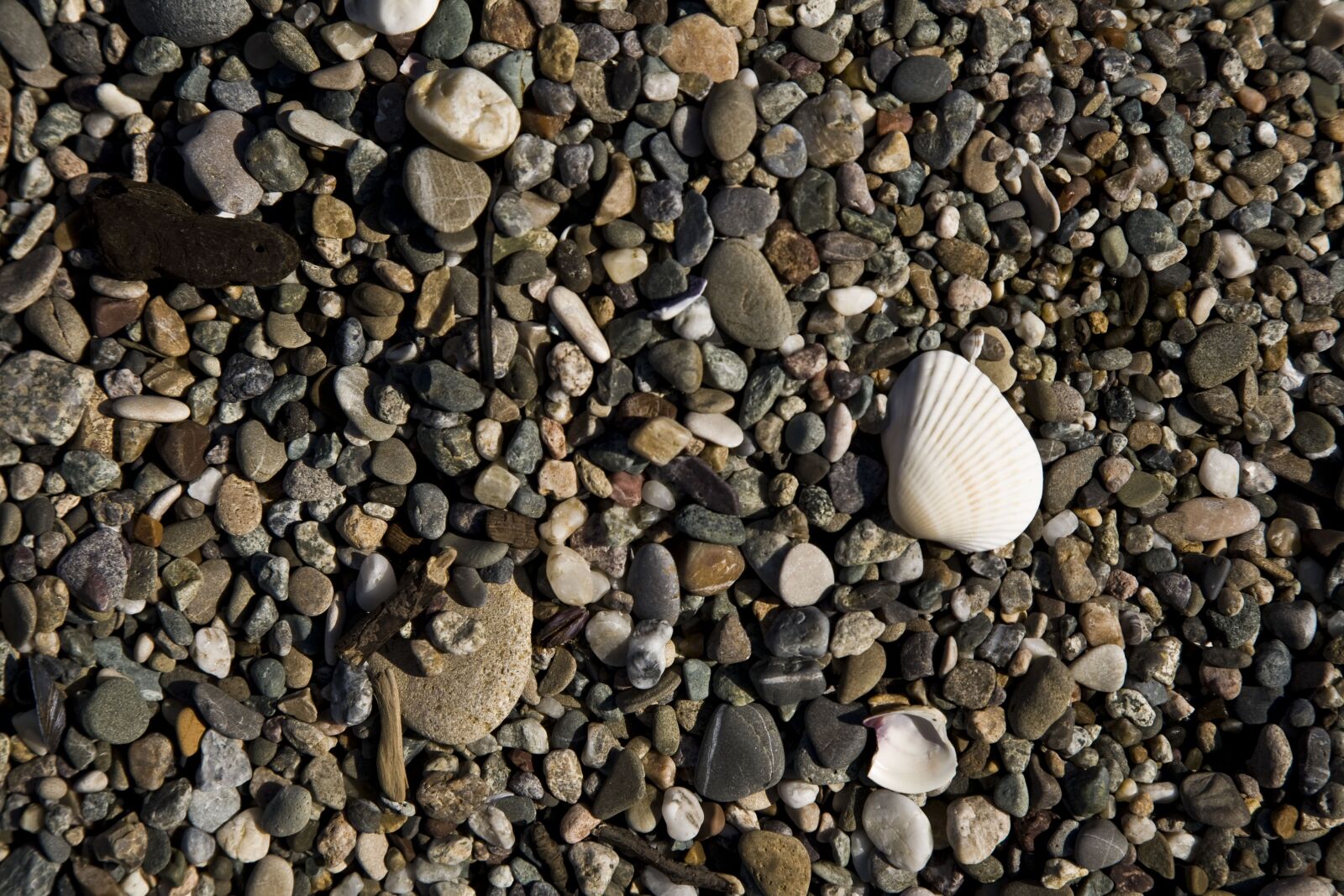 Canon EOS 5D sample photo. Gravel, beach, stone photography