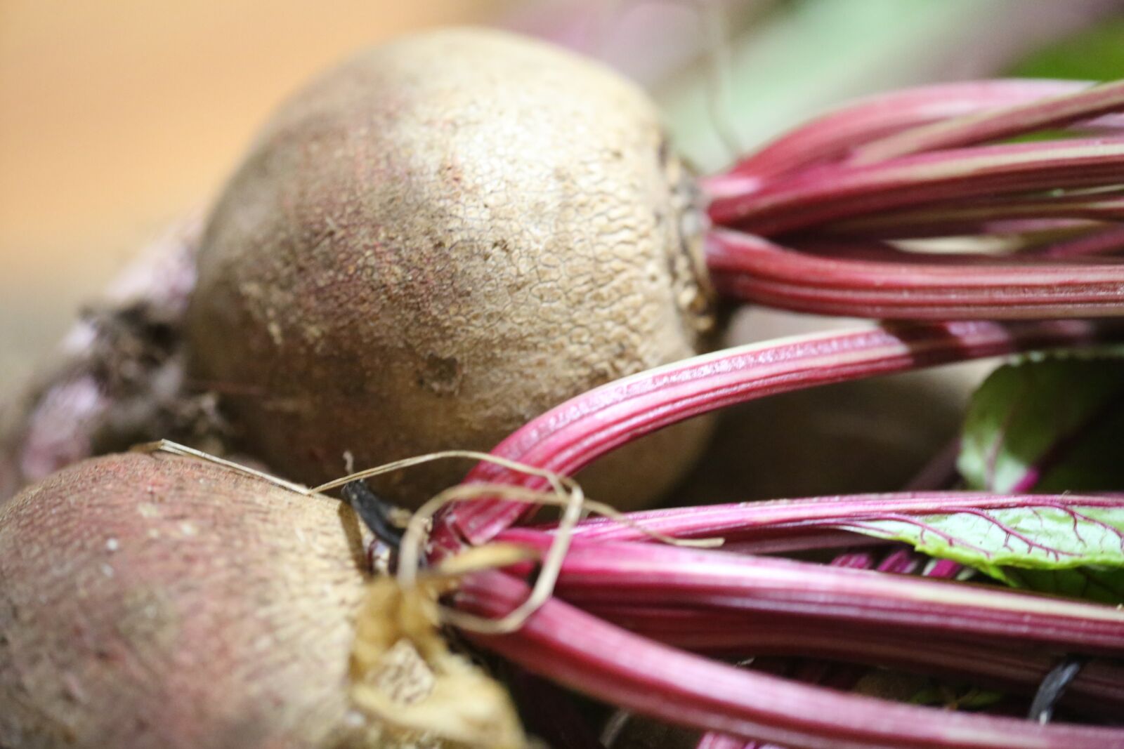 Canon EF 180mm F3.5L Macro USM sample photo. Food, desktop, flora photography