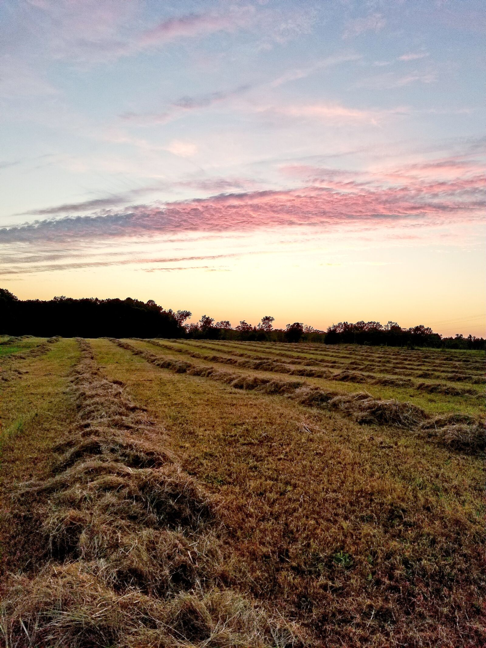 Samsung Galaxy S8+ sample photo. Landscape, nature, sky photography