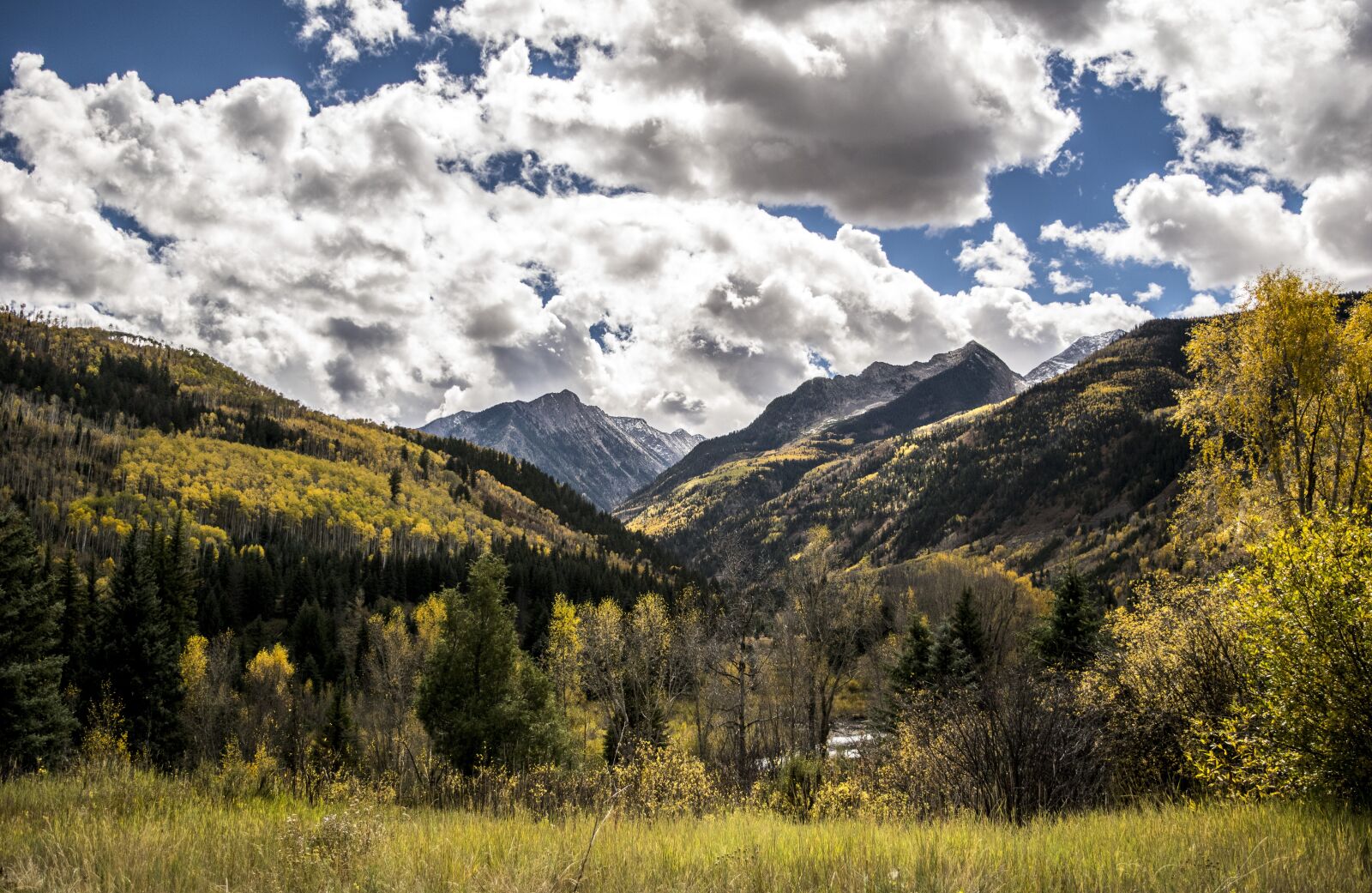 Nikon D3300 sample photo. Colorado, fall leaves, mountain photography