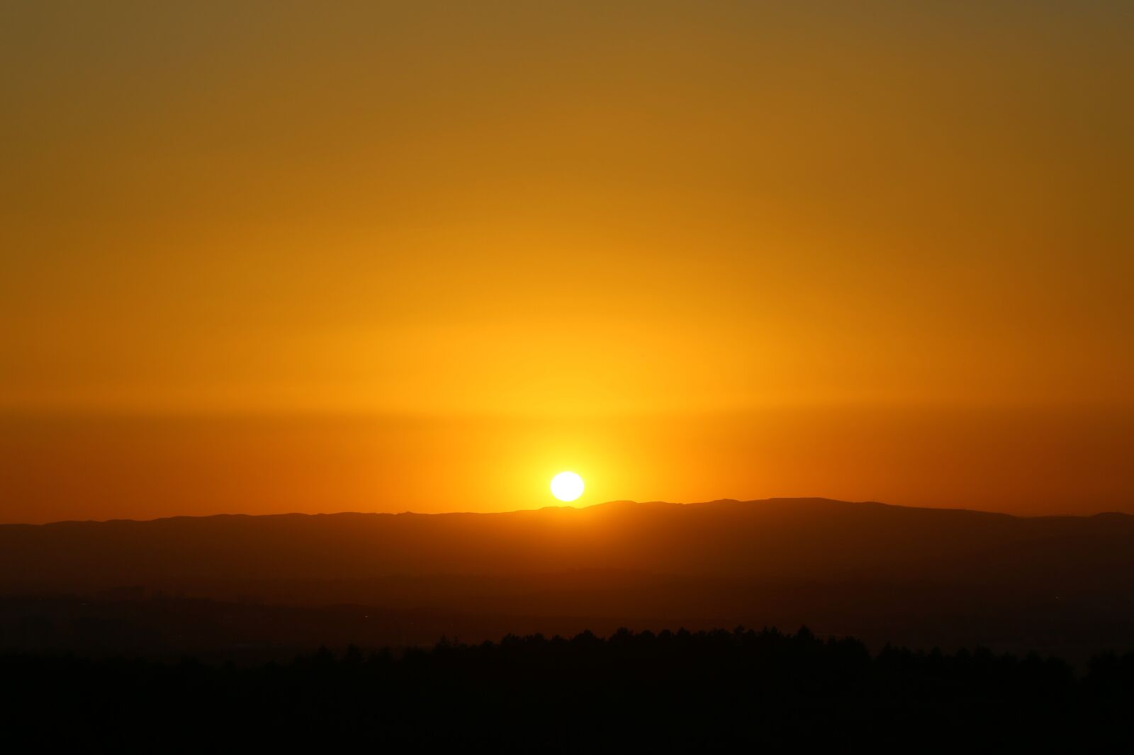 Canon EF 24-105mm F4L IS USM sample photo. Sunset, in the evening photography
