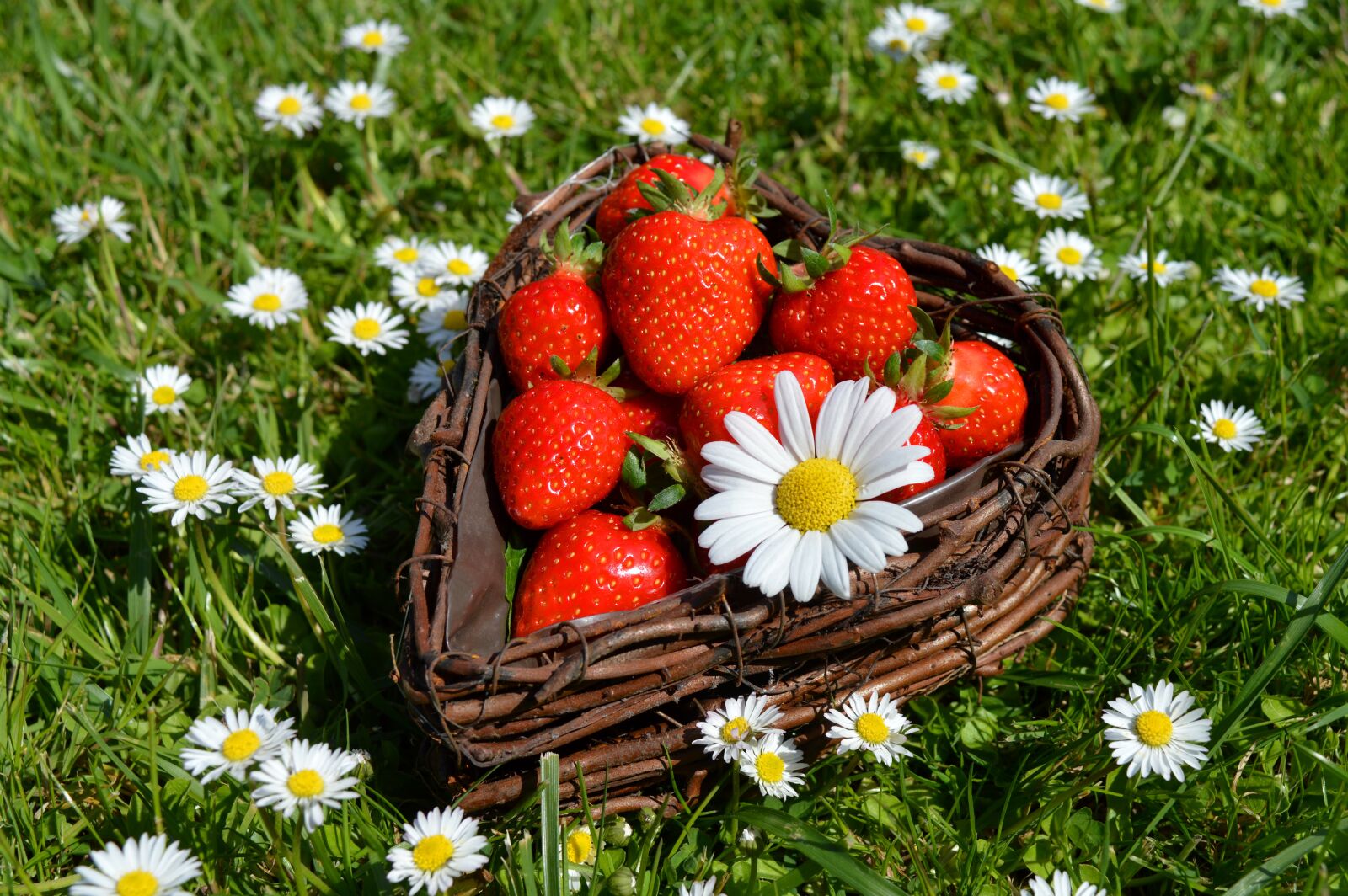 Nikon D3200 sample photo. Strawberries, fruit, heart basket photography