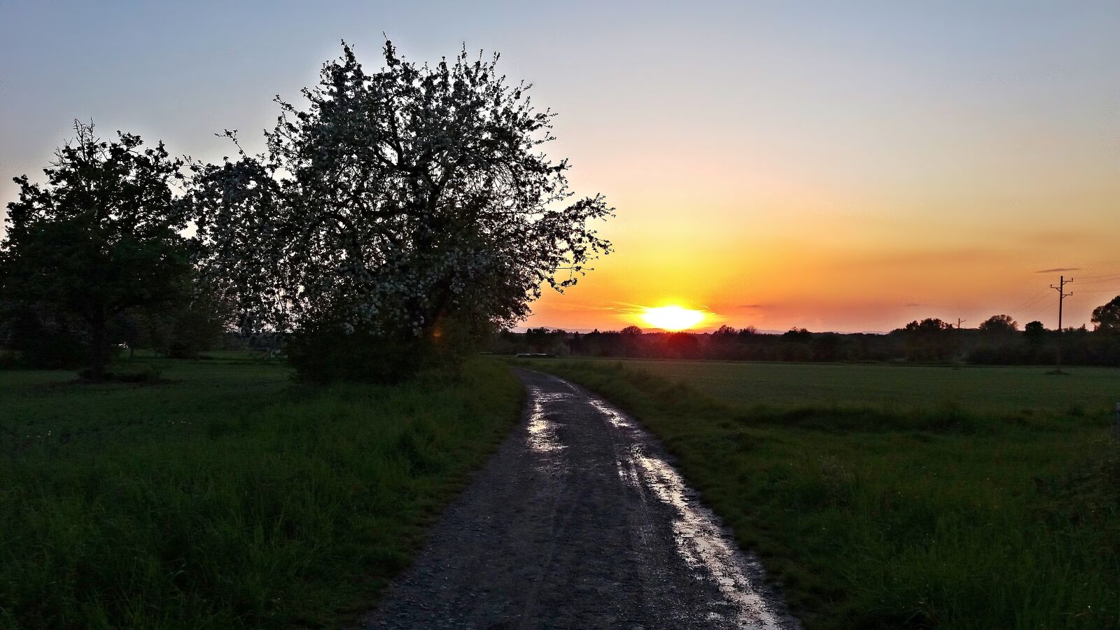 Samsung Galaxy J5 sample photo. West, field, the sun photography