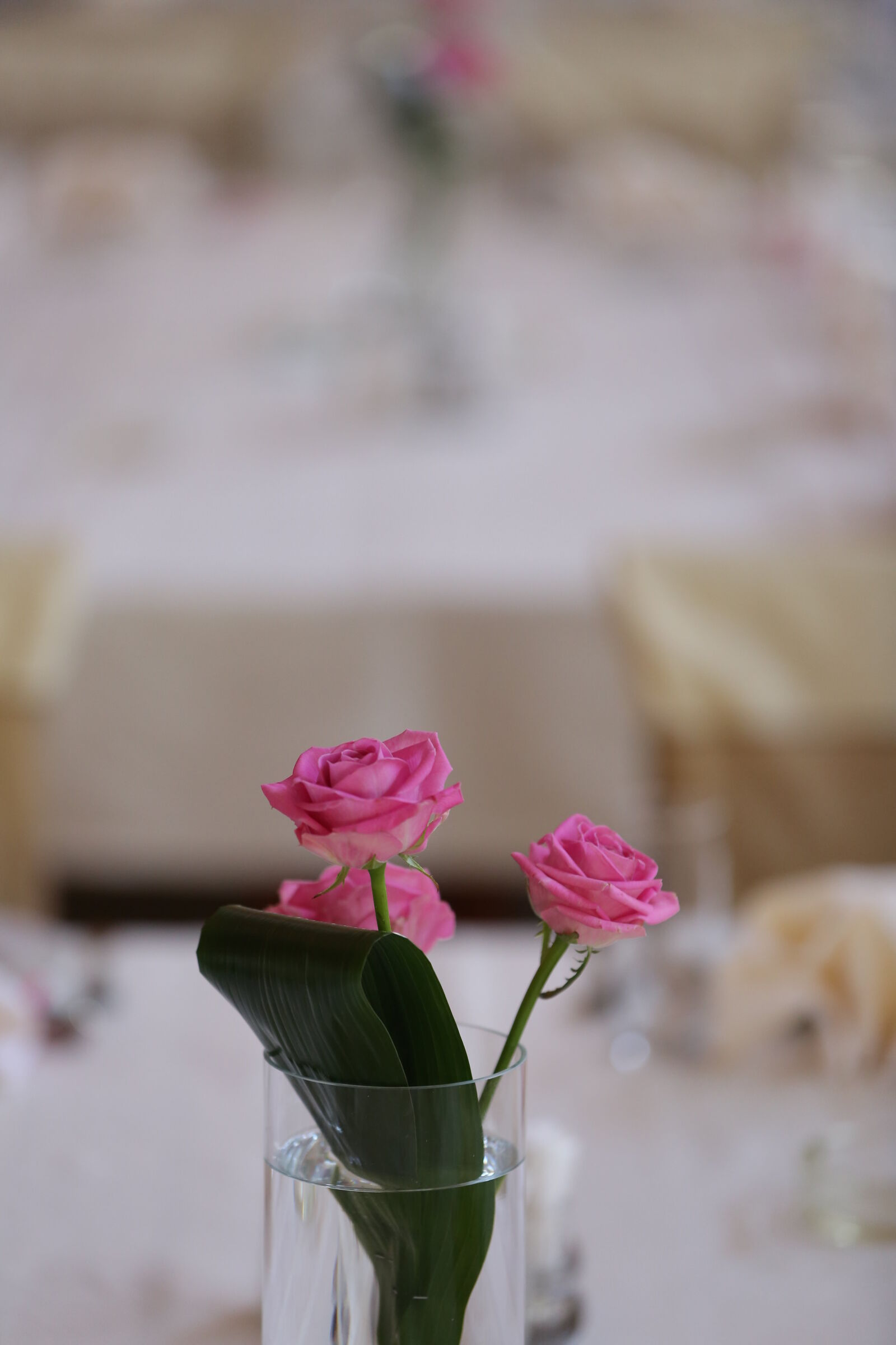 Canon EOS 5D Mark III sample photo. Glass, roses, tablecloth, three photography