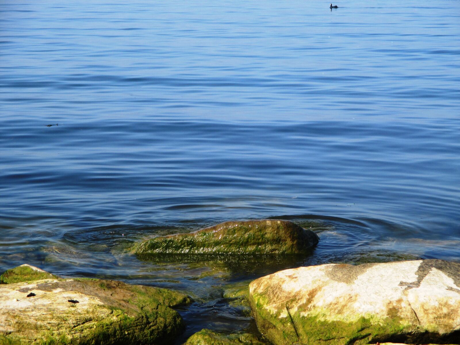 Canon PowerShot ELPH 115 IS (IXUS 132 / IXY 90F) sample photo. Lake, water, blue photography