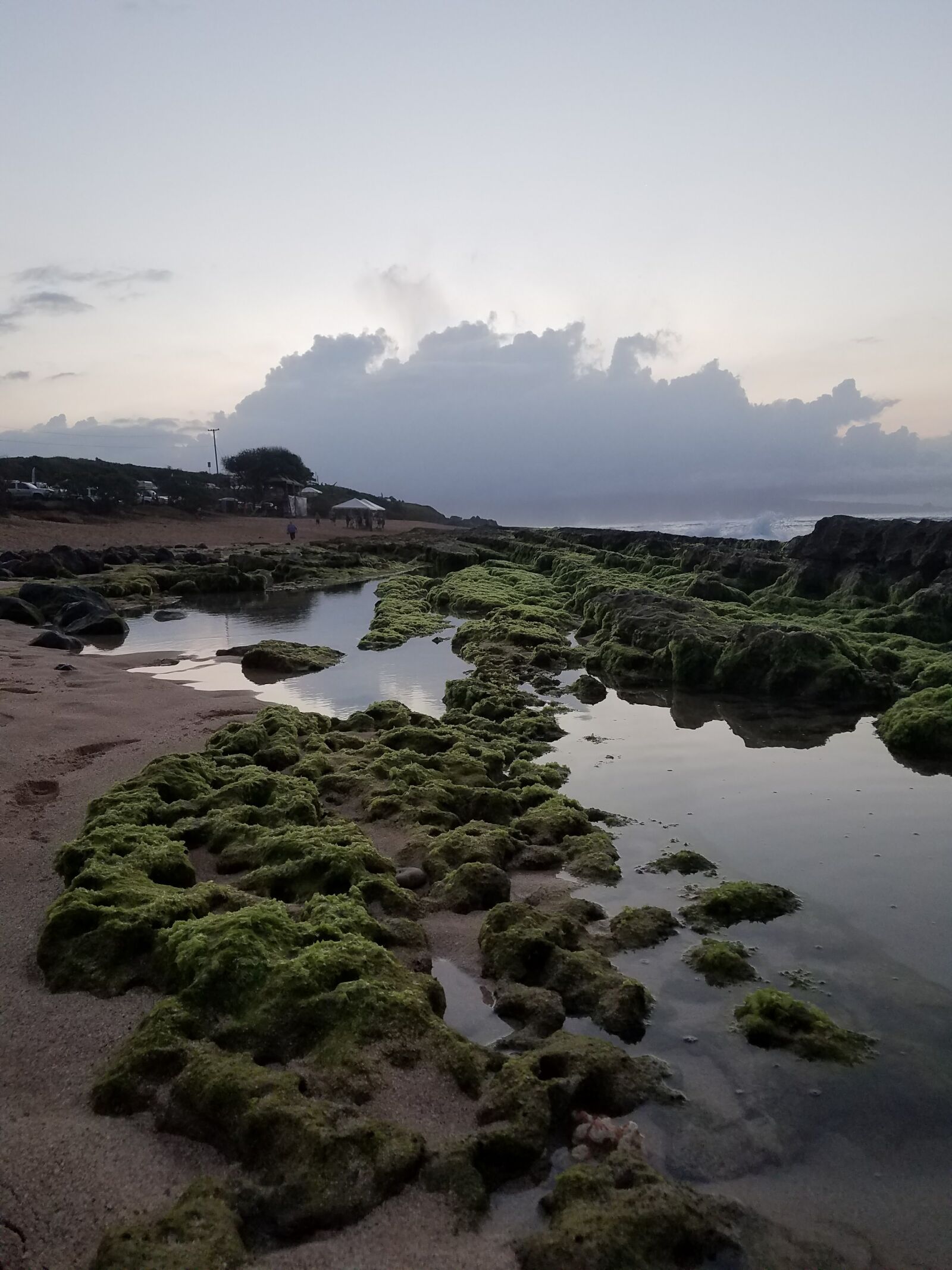 Samsung Galaxy S7 Edge sample photo. Algae, coast, line, hawaii photography