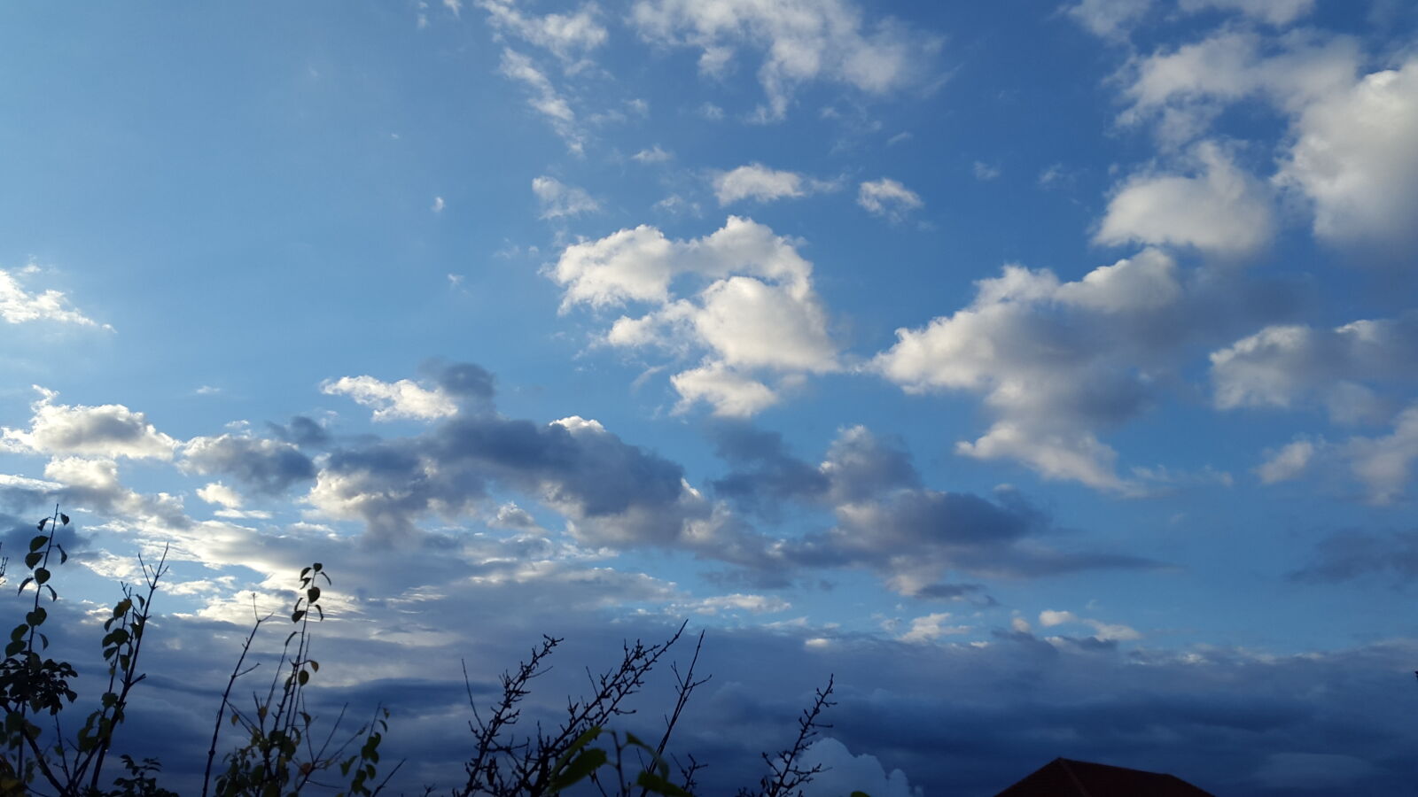 Samsung Galaxy Alpha sample photo. Clouds, morning, sky photography