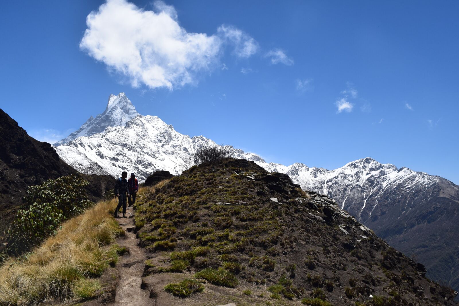 Nikon D3300 sample photo. Mountains, trekking, nepal photography