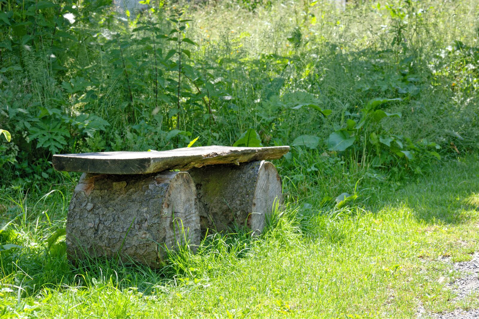 55.0-200.0mm f/4.0-f/5.6 sample photo. Seat, wooden bench, nature photography