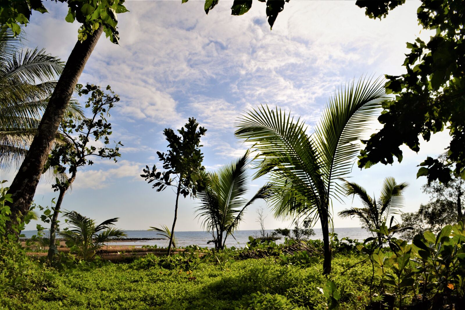 Nikon D3100 sample photo. Island, philippines, pacific photography