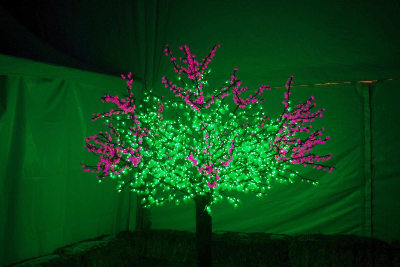 Pentax K-x sample photo. Holiday, lights, tree photography