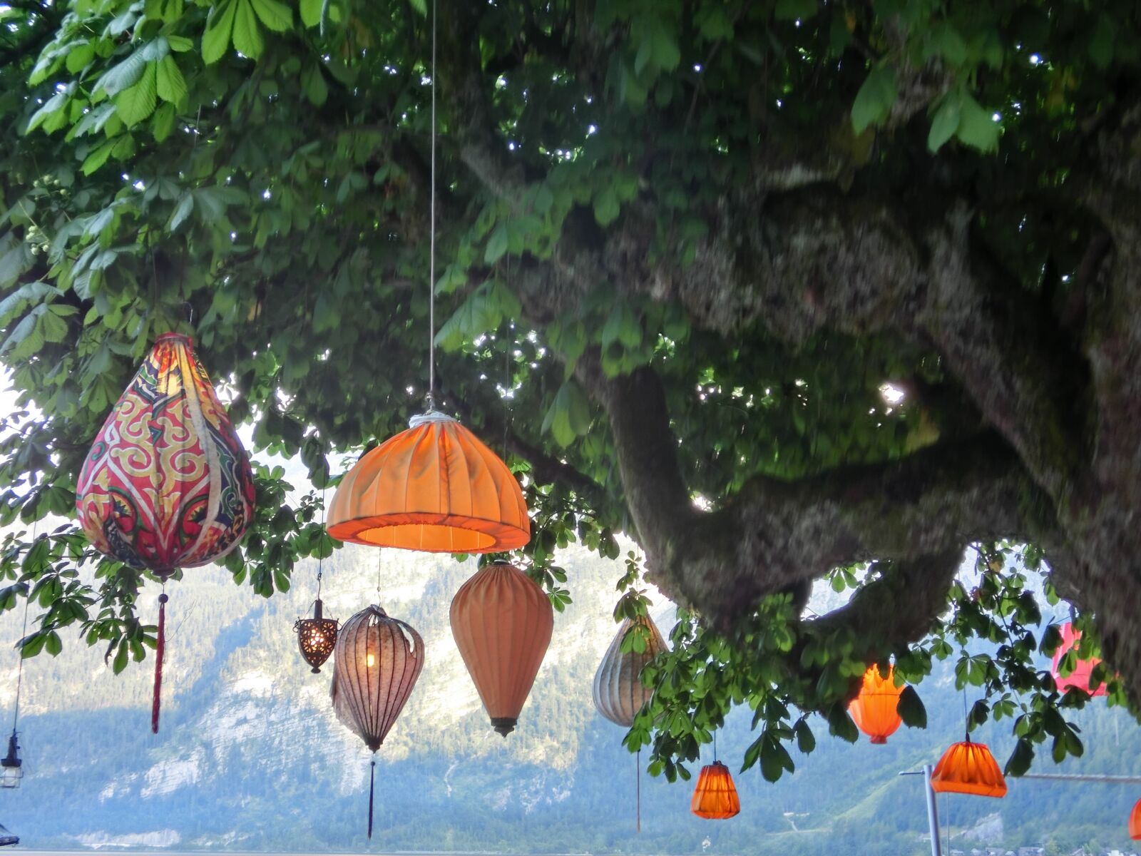 CASIO EX-ZR200 sample photo. Chinese lanterns, lamps, tree photography