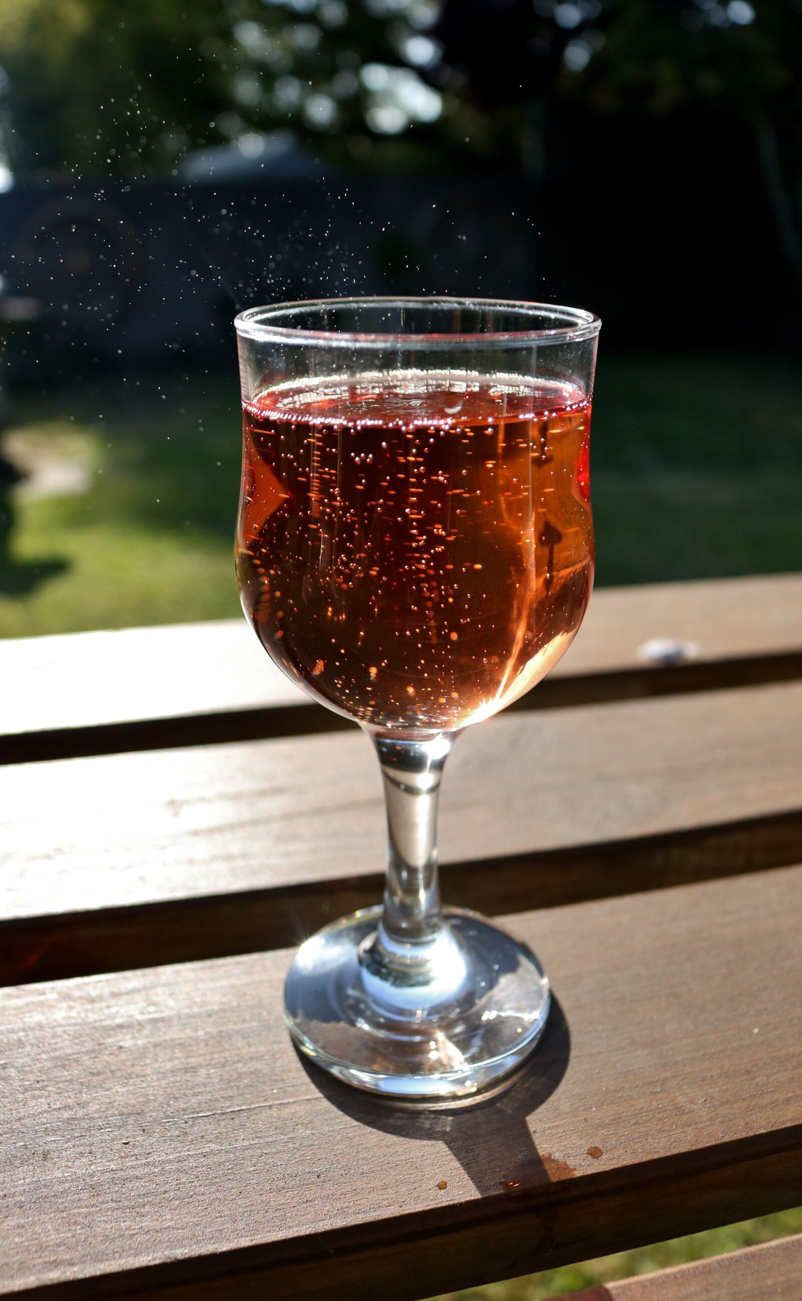 Canon EOS 750D (EOS Rebel T6i / EOS Kiss X8i) sample photo. Champagne, glass, celebration photography