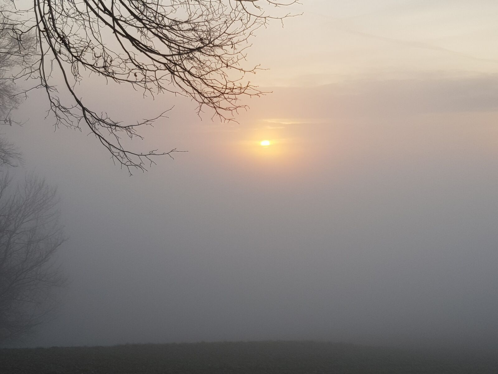 Samsung Galaxy S8 sample photo. Fog, winter, landscape photography