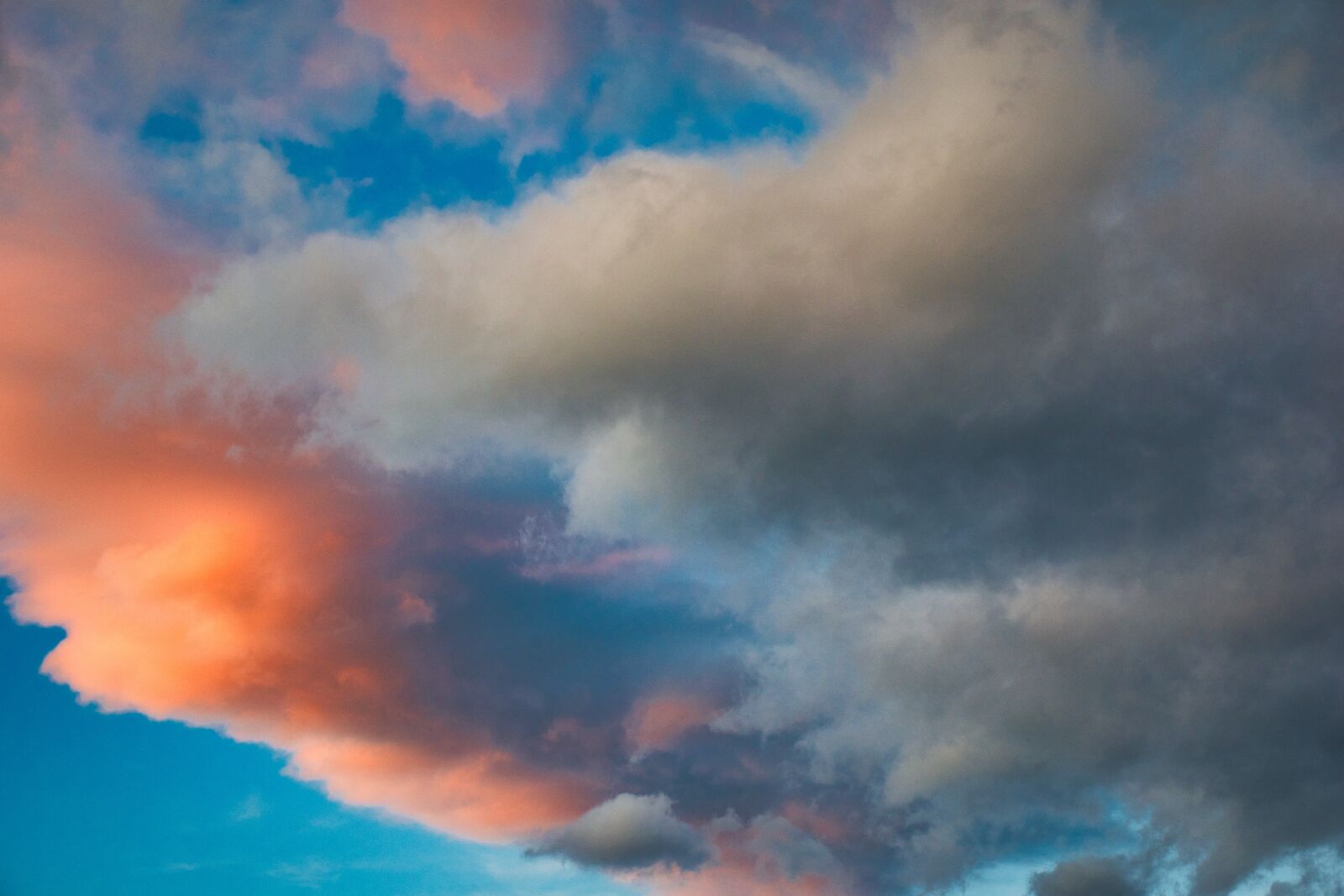 Nikon D5600 sample photo. Romantic, sunset, red photography