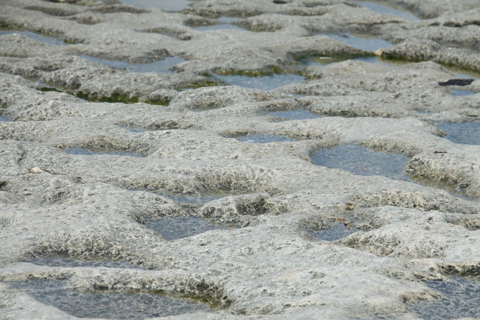 Canon EOS 50D sample photo. Sea shore, haifa, israel photography