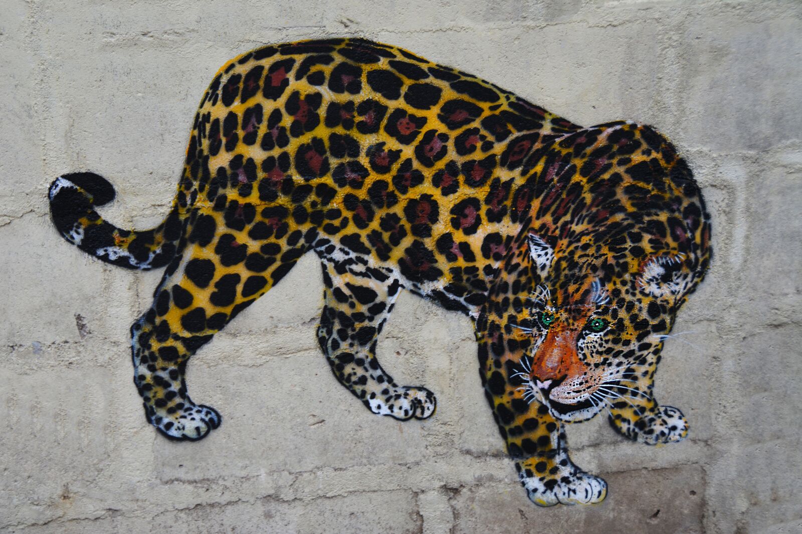 Nikon D5200 sample photo. Leopard, wall art, graffiti photography