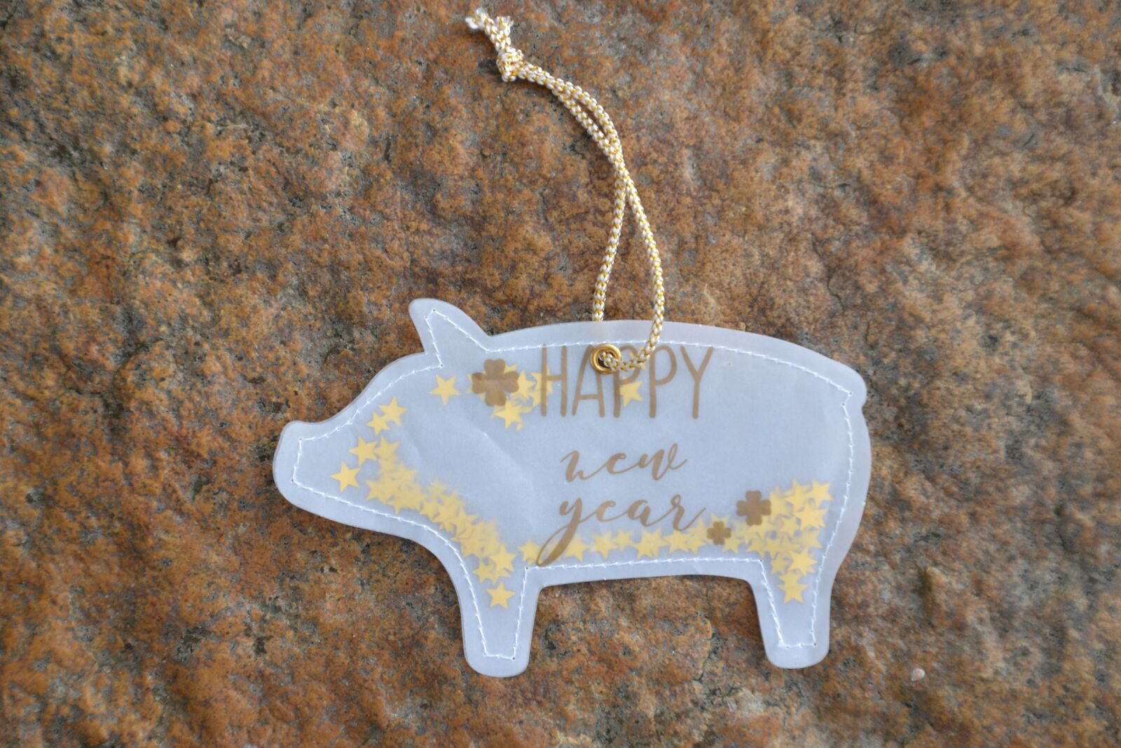 Nikon D3100 sample photo. New year's day, congratulations photography