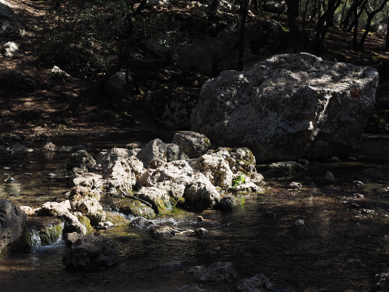 Olympus OM-D E-M1 + Olympus M.Zuiko Digital ED 12-40mm F2.8 Pro sample photo. Torrente de coanegra, river photography