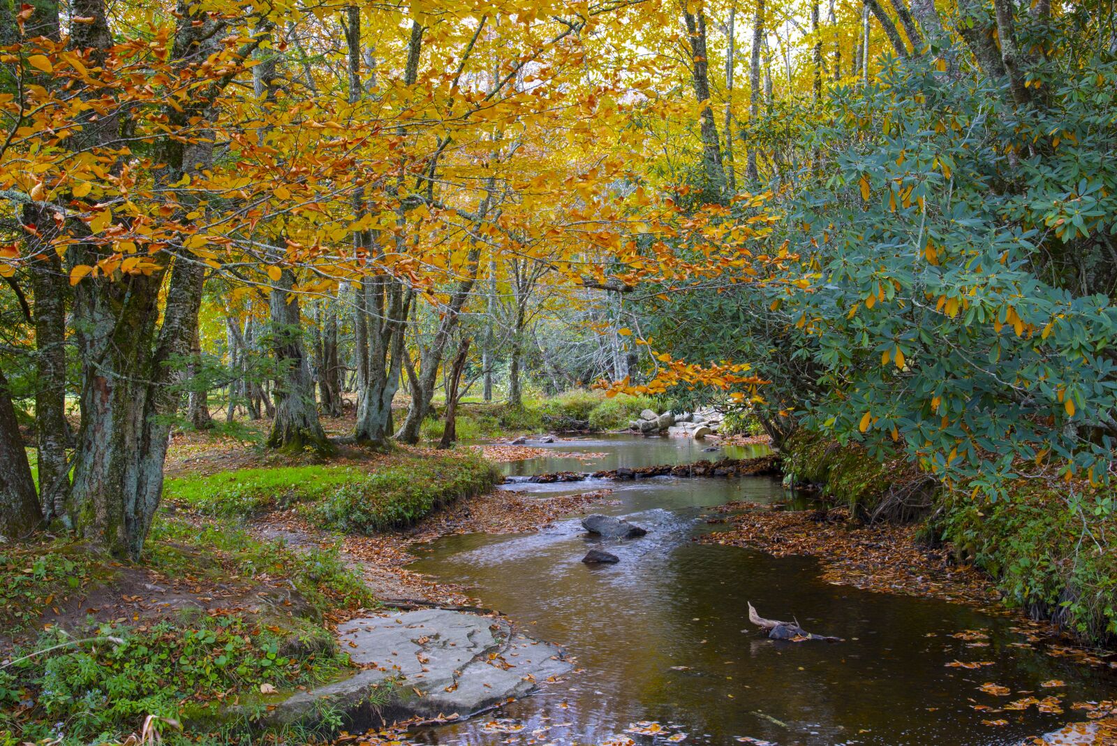 Nikon D610 sample photo. Landscape, peaceful, scenery photography