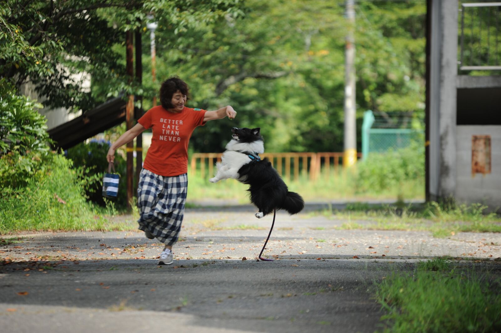 Nikon D700 sample photo. Dog, animal, landscape photography