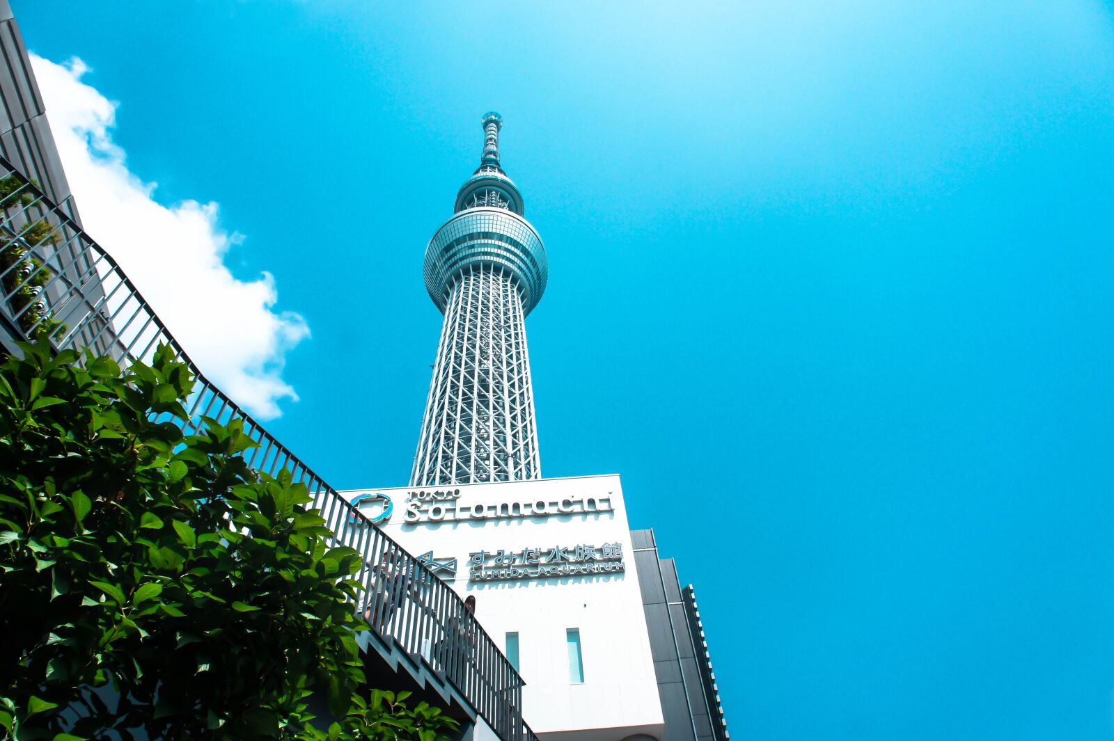 Sony Alpha NEX-3 + Sony E 18-55mm F3.5-5.6 OSS sample photo. Travel, tokyo sky tree photography