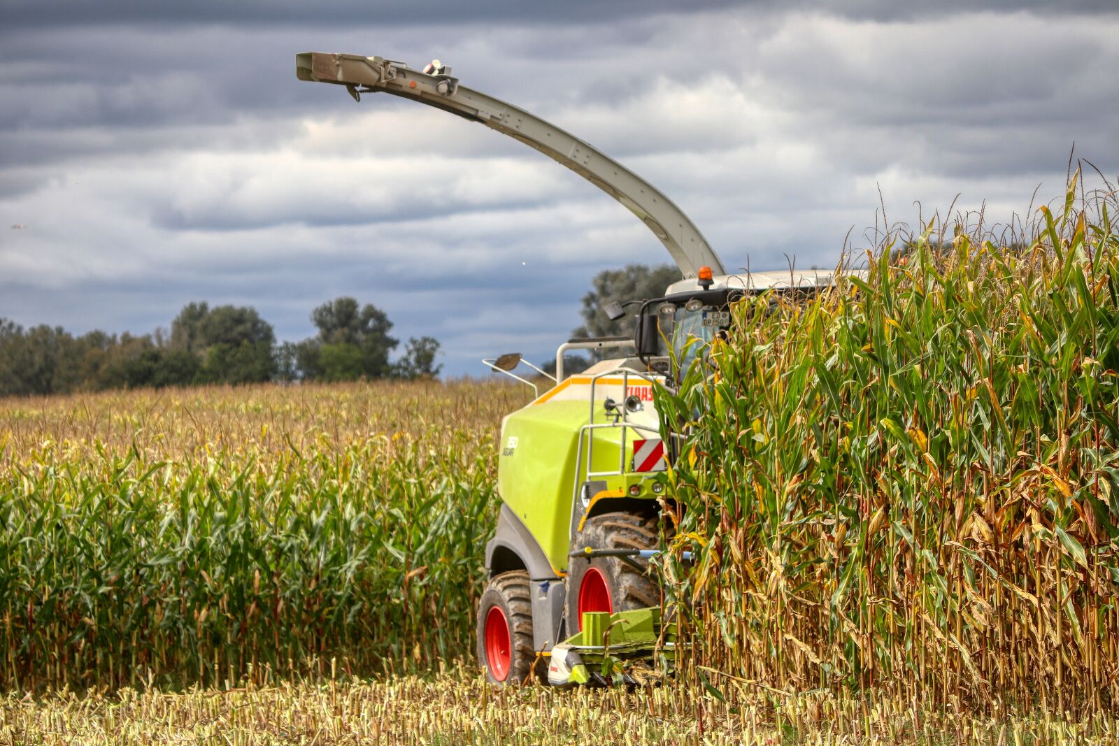 Canon EOS 80D sample photo. Combine harvester, machine, agriculture photography