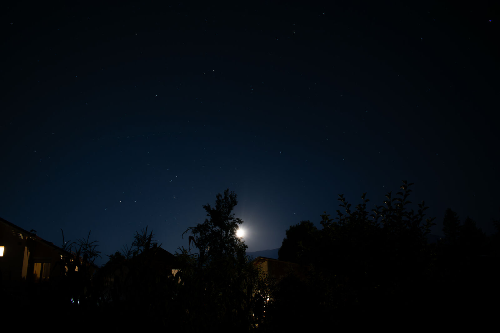Nikon D3300 sample photo