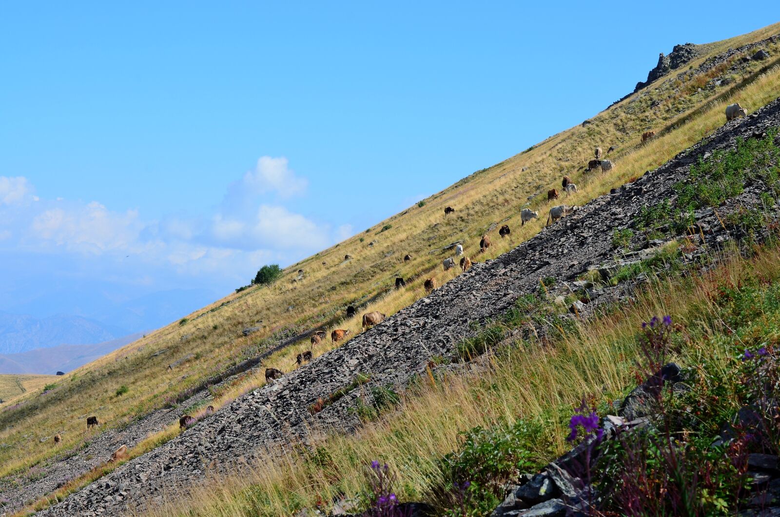 Nikon D5100 sample photo. Eastern black sea, landscape photography