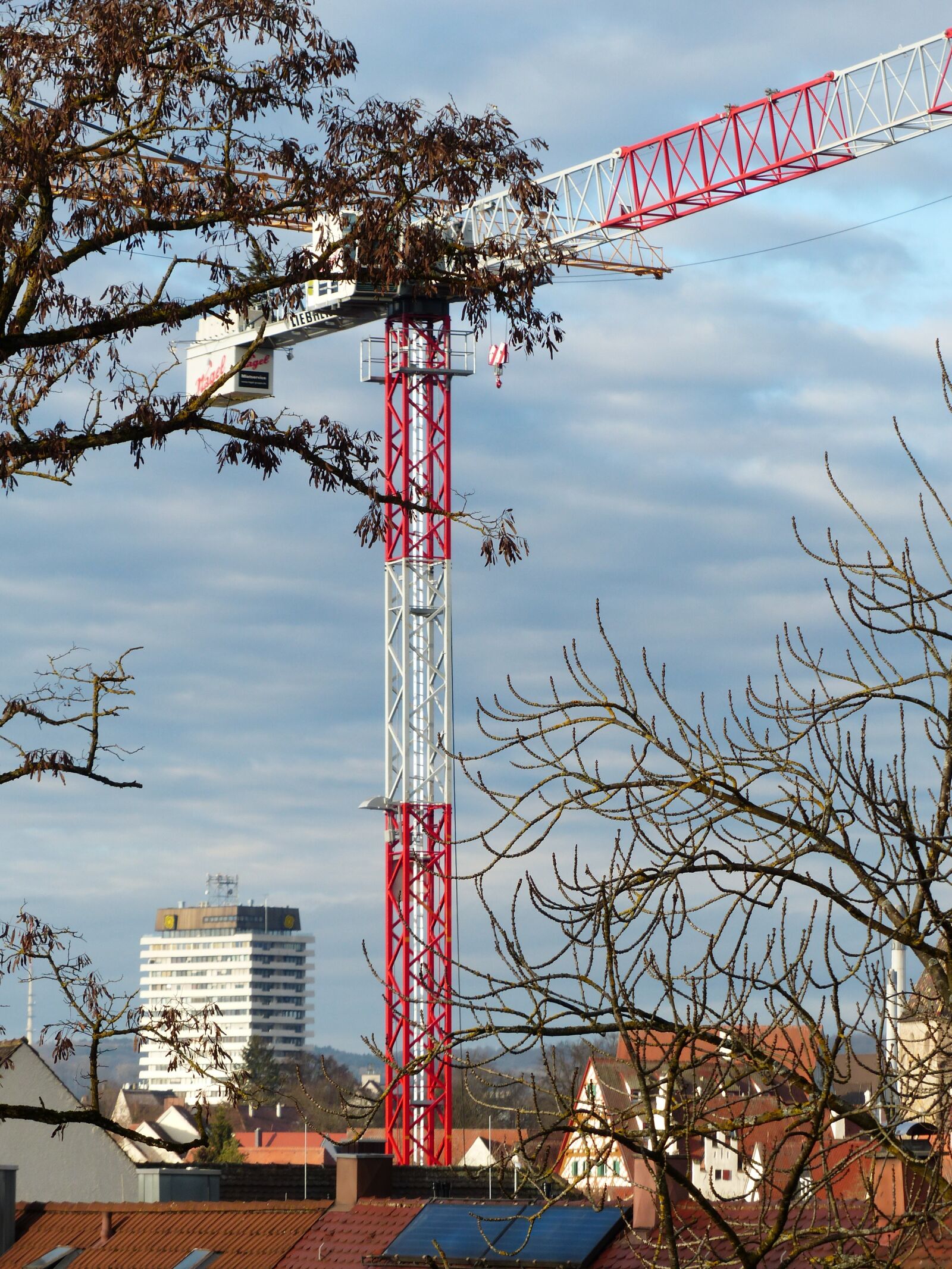Panasonic Lumix DMC-FZ200 sample photo. Crane, site, build photography