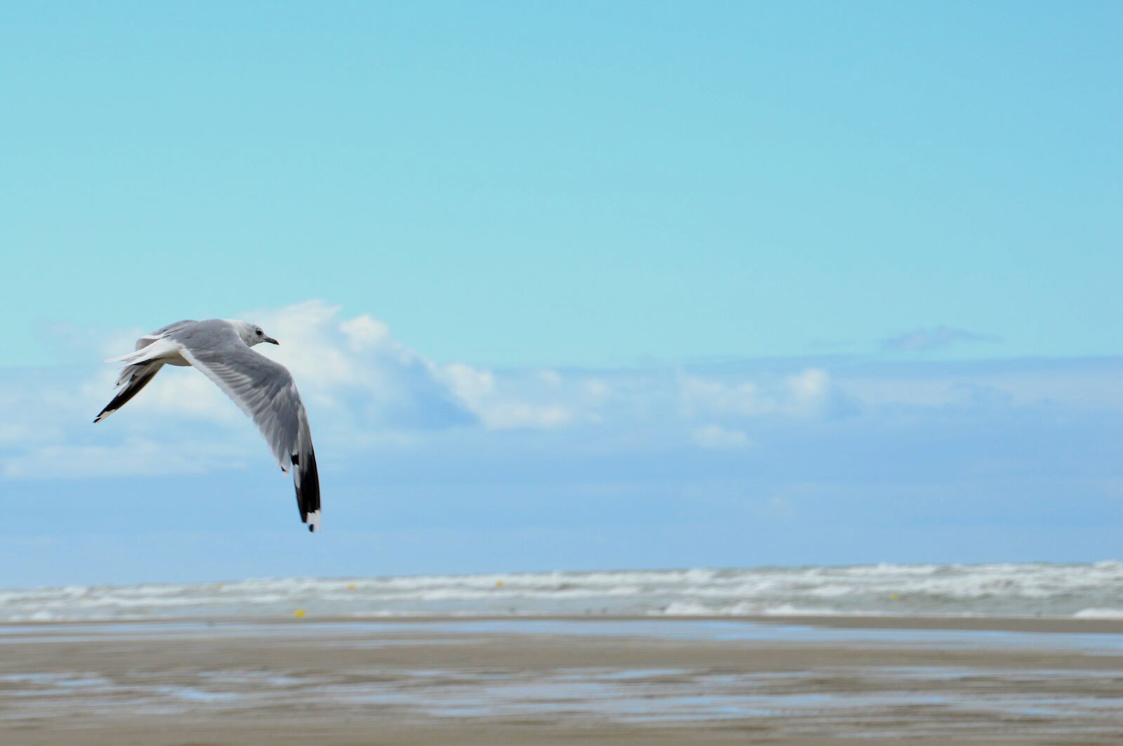 Nikon D3200 sample photo. Sea, beach, stella beach photography