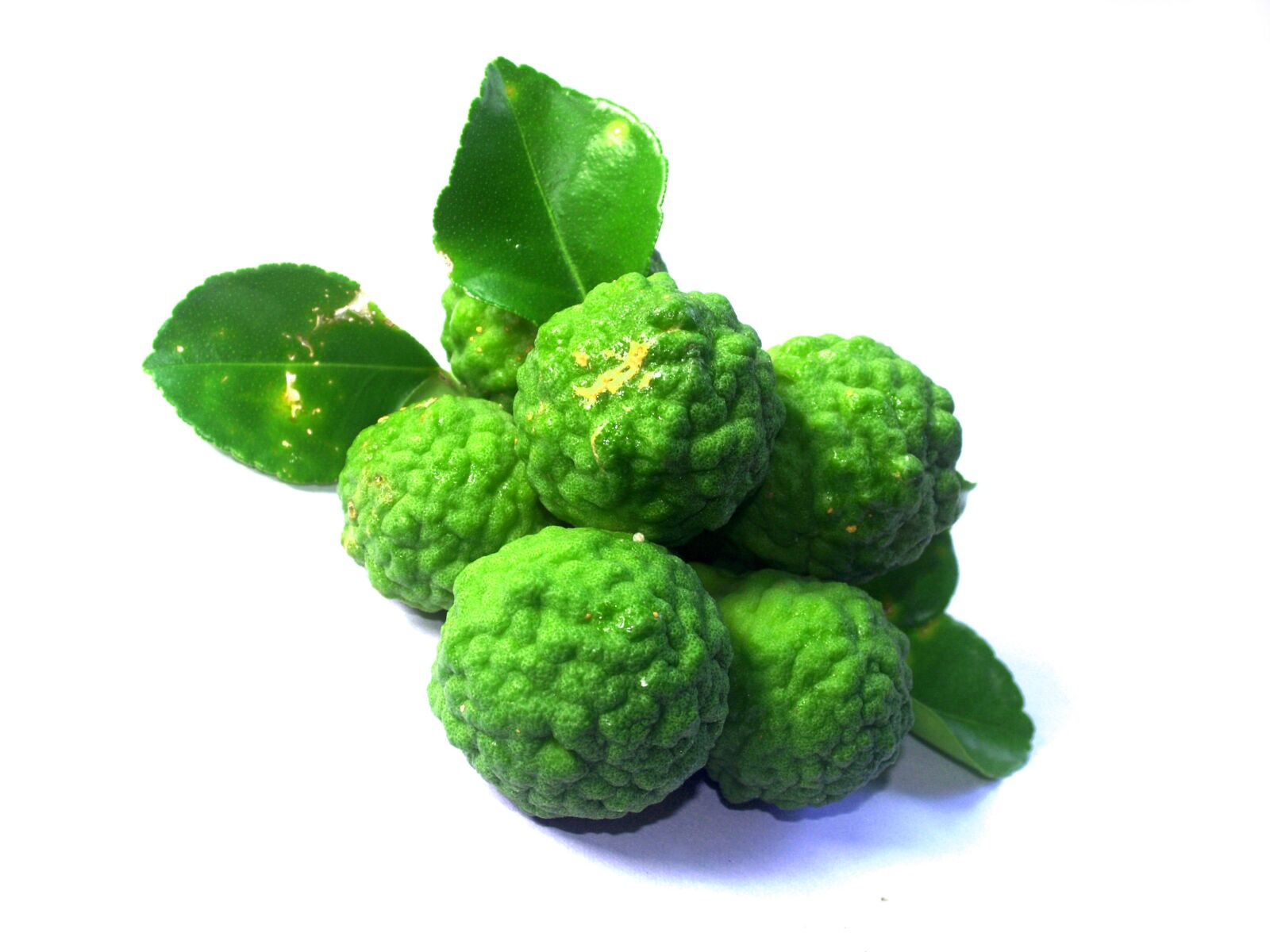Olympus E-300 (EVOLT E-300) sample photo. Bergamot, fruit, leaf photography