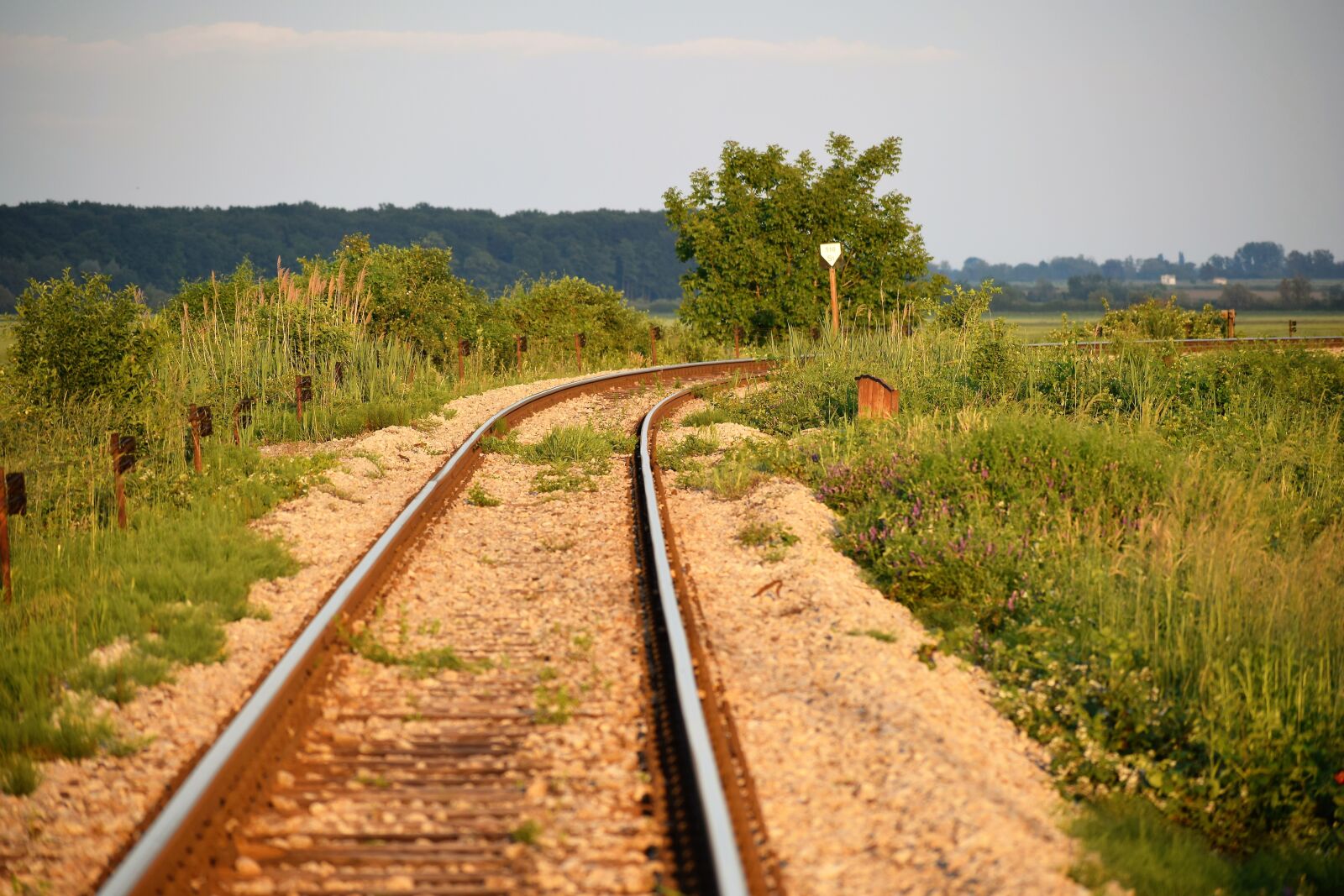 Nikon D3300 sample photo. Railway, tracks, sunset photography