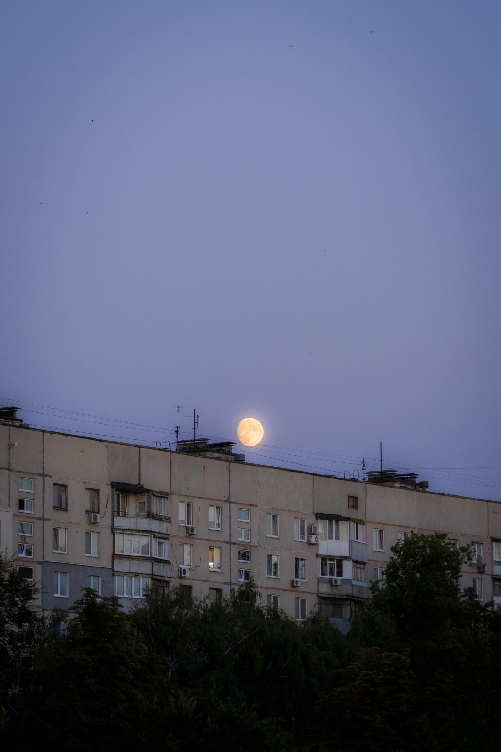 Sony a7 III + Sony FE 24-105mm F4 G OSS sample photo