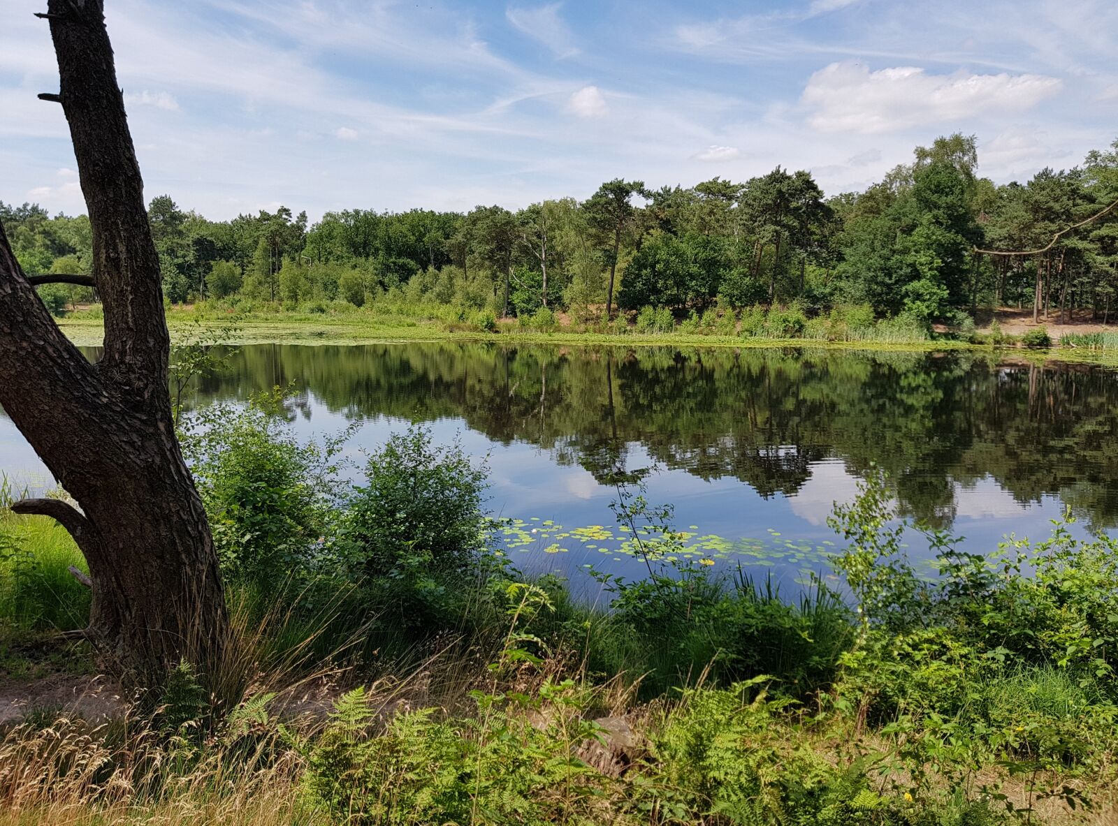 Samsung Galaxy S8+ sample photo. Camping, relax, nature photography
