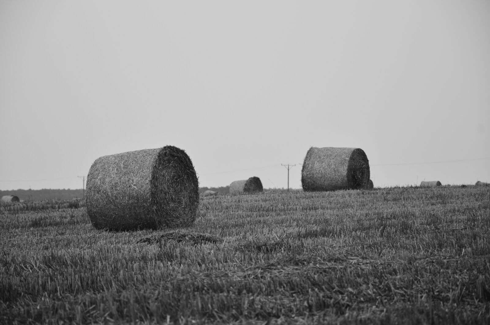 Nikon D3200 sample photo